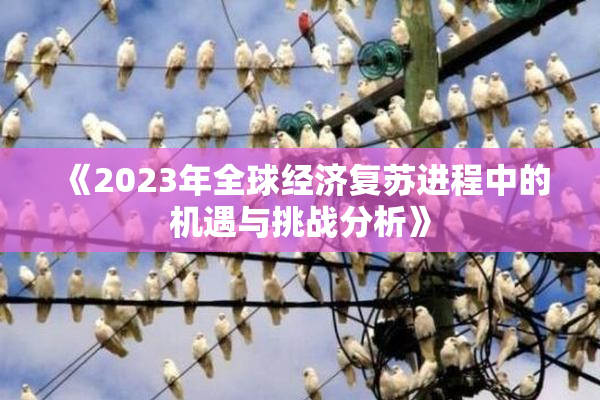 《2023年全球经济复苏进程中的机遇与挑战分析》