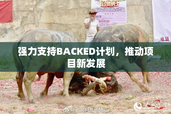 强力支持BACKED计划，推动项目新发展