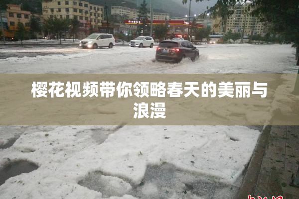 樱花视频带你领略春天的美丽与浪漫