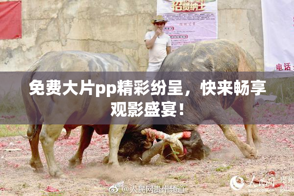 免费大片pp精彩纷呈，快来畅享观影盛宴！
