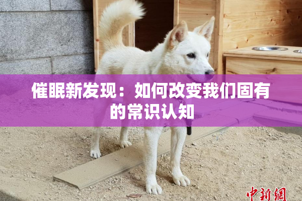催眠新发现：如何改变我们固有的常识认知