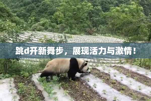 跳d开新舞步，展现活力与激情！