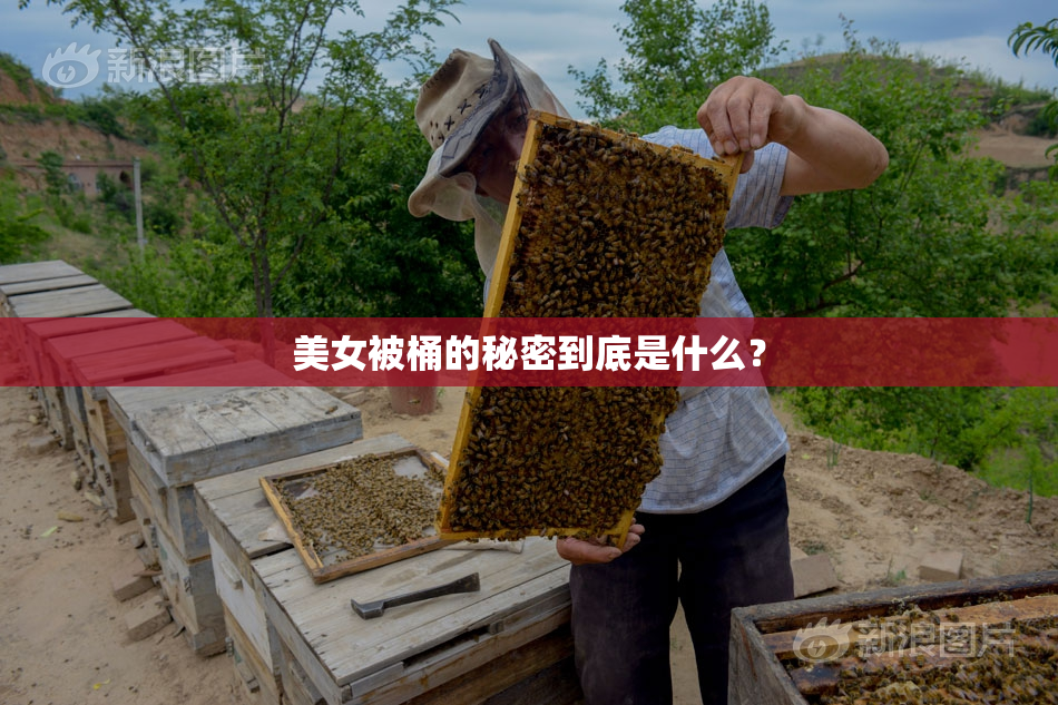 美女被桶的秘密到底是什么？