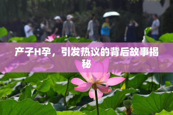 产子H孕，引发热议的背后故事揭秘