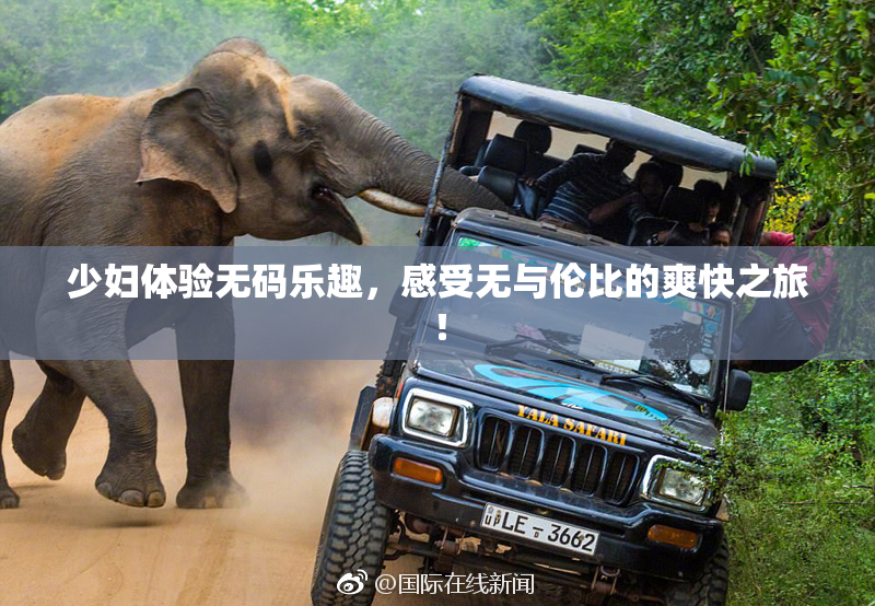 少妇体验无码乐趣，感受无与伦比的爽快之旅！