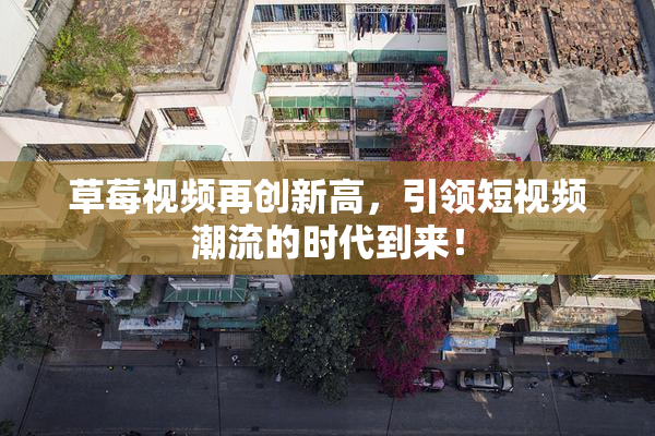 草莓视频再创新高，引领短视频潮流的时代到来！