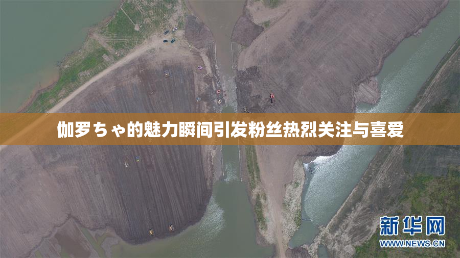 伽罗ちゃ的魅力瞬间引发粉丝热烈关注与喜爱