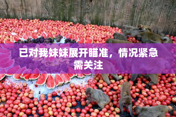 已对我妹妹展开瞄准，情况紧急需关注