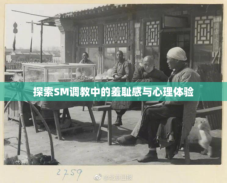 探索SM调教中的羞耻感与心理体验