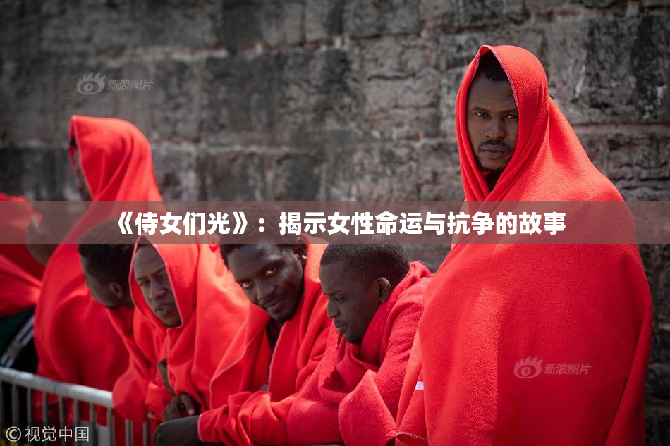 《侍女们光》：揭示女性命运与抗争的故事