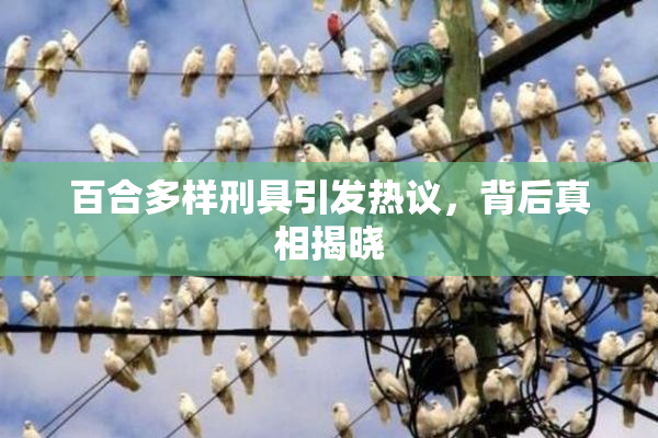 百合多样刑具引发热议，背后真相揭晓