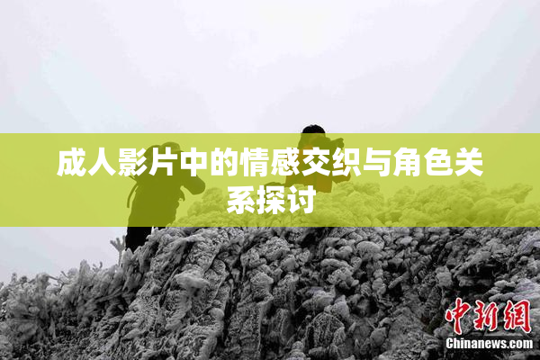 成人影片中的情感交织与角色关系探讨