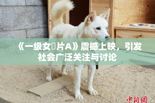 《一级女婬片A》震撼上映，引发社会广泛关注与讨论