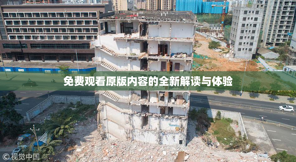 免费观看原版内容的全新解读与体验