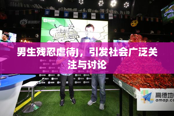 男生残忍虐待J，引发社会广泛关注与讨论