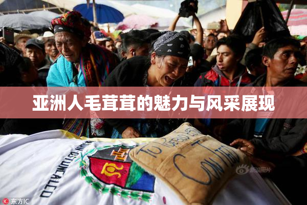 亚洲人毛茸茸的魅力与风采展现