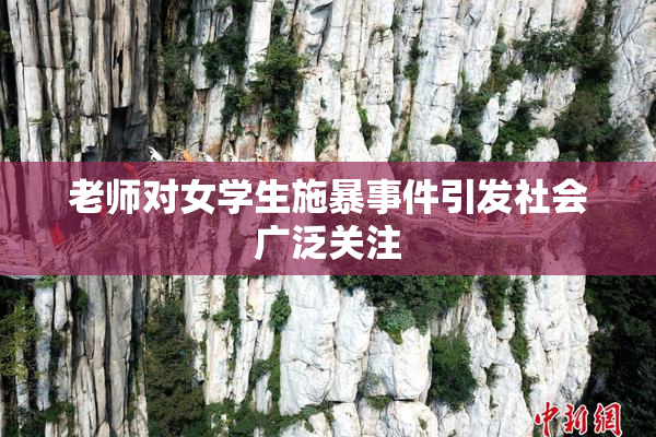 老师对女学生施暴事件引发社会广泛关注