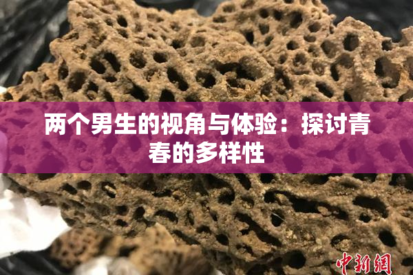 两个男生的视角与体验：探讨青春的多样性