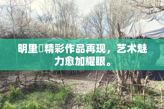 明里紬精彩作品再现，艺术魅力愈加耀眼。