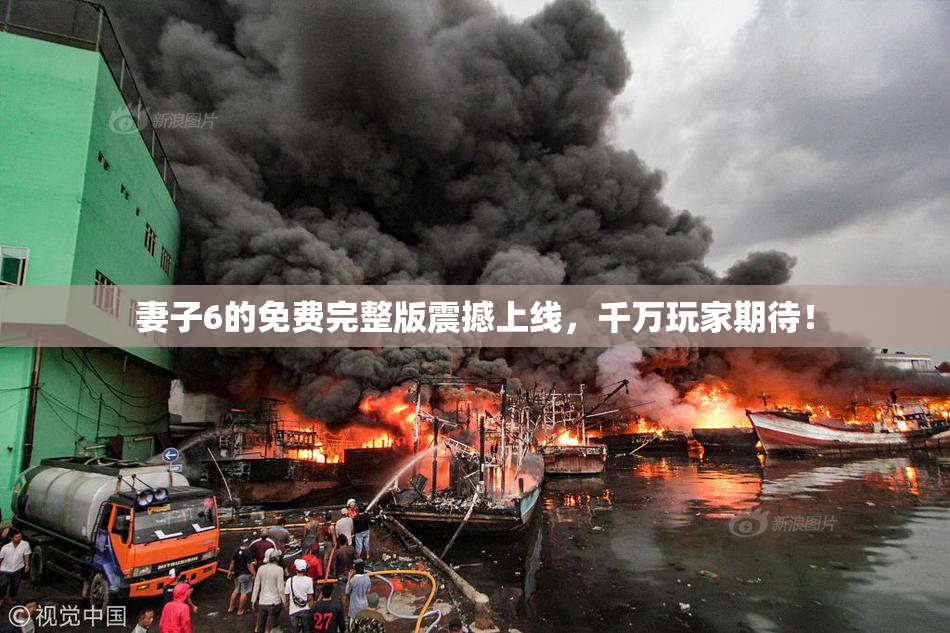 妻子6的免费完整版震撼上线，千万玩家期待！