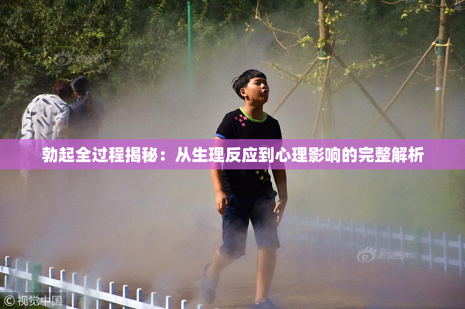勃起全过程揭秘：从生理反应到心理影响的完整解析