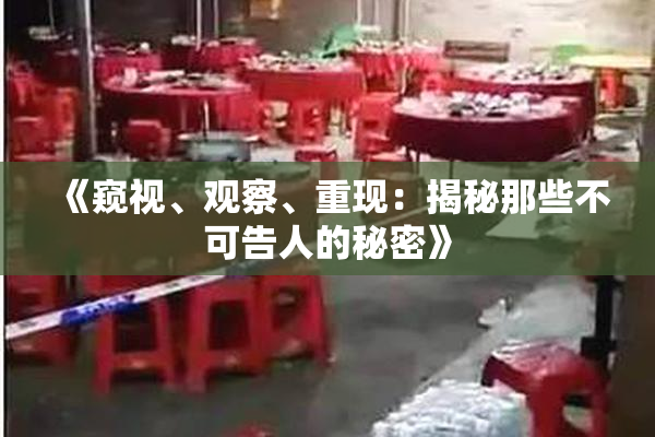 《窥视、观察、重现：揭秘那些不可告人的秘密》