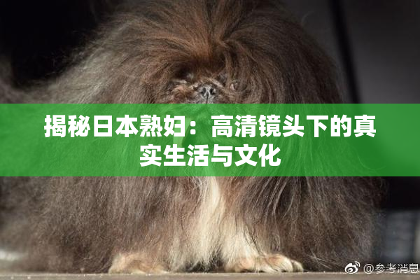 揭秘日本熟妇：高清镜头下的真实生活与文化