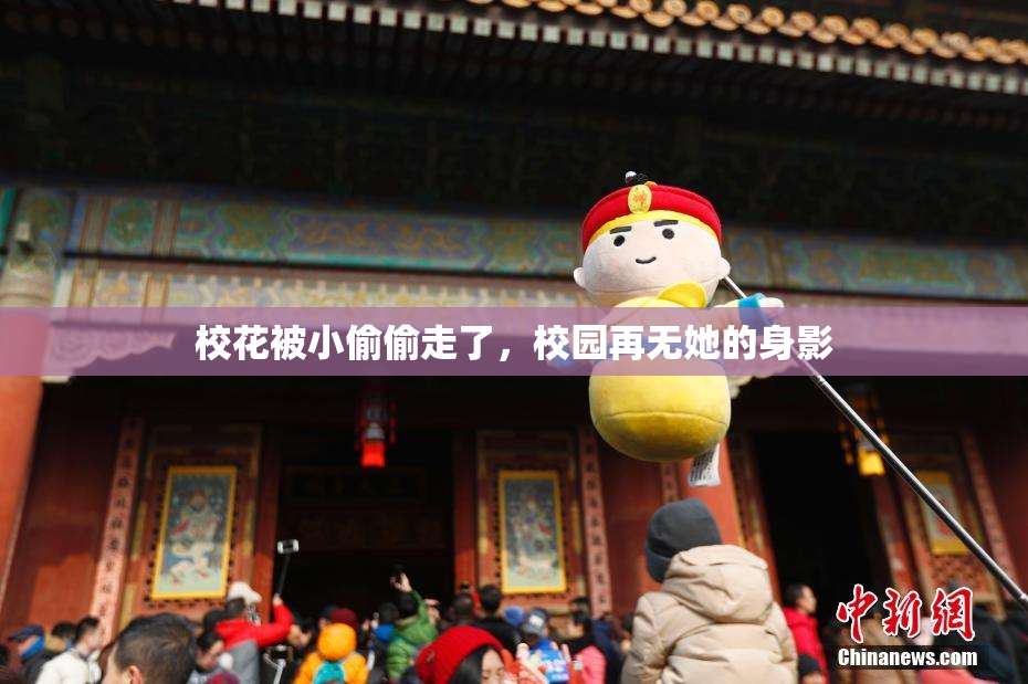 校花被小偷偷走了，校园再无她的身影