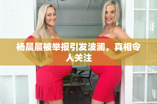 杨晨晨被举报引发波澜，真相令人关注