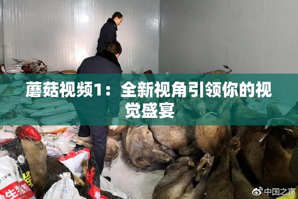 蘑菇视频1：全新视角引领你的视觉盛宴