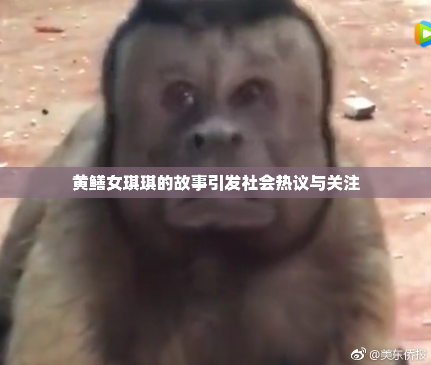 黄鳝女琪琪的故事引发社会热议与关注