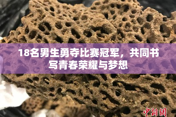 18名男生勇夺比赛冠军，共同书写青春荣耀与梦想