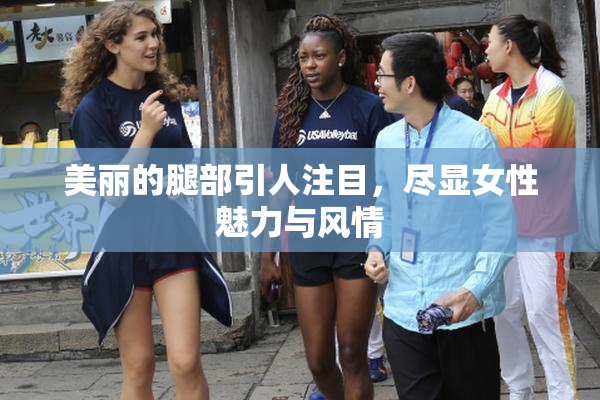 美丽的腿部引人注目，尽显女性魅力与风情
