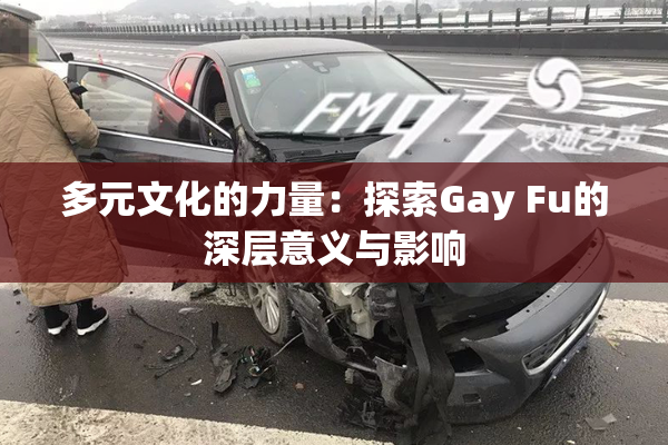 多元文化的力量：探索Gay Fu的深层意义与影响