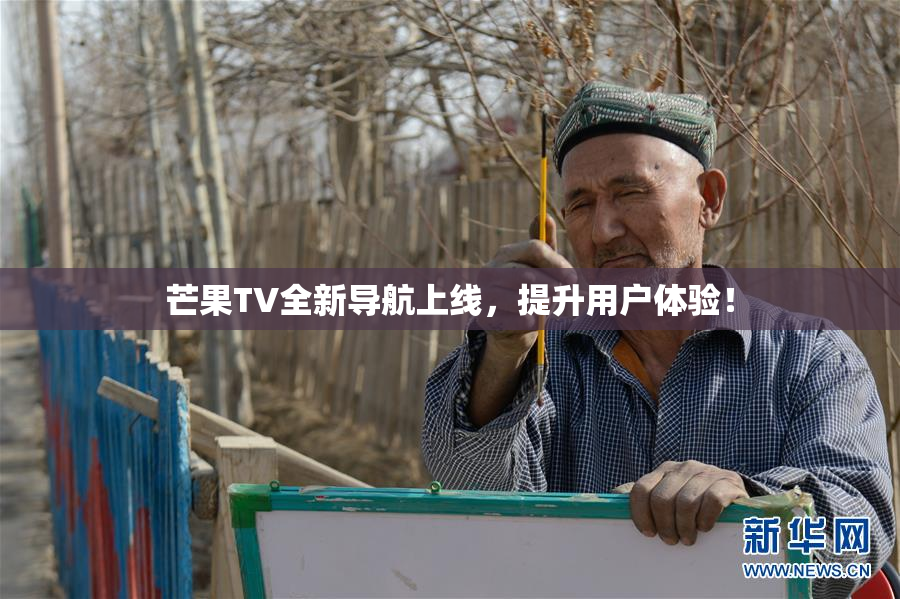 芒果TV全新导航上线，提升用户体验！
