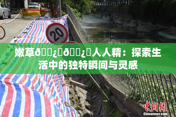 嫩草🌿‌🌿‌人人精：探索生活中的独特瞬间与灵感