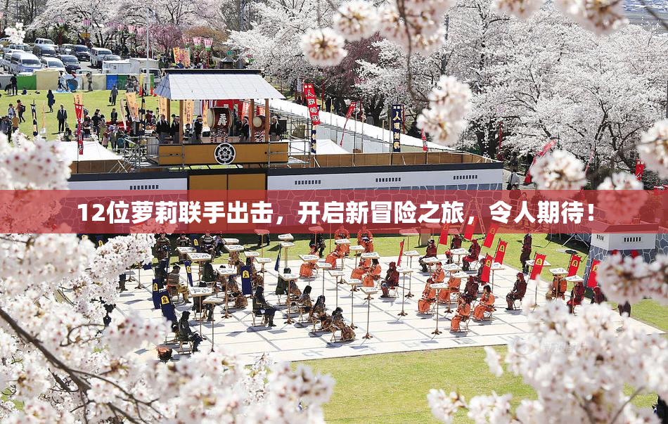 12位萝莉联手出击，开启新冒险之旅，令人期待！