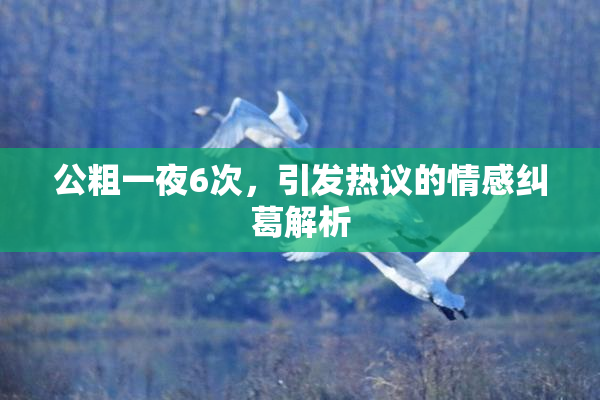 公粗一夜6次，引发热议的情感纠葛解析