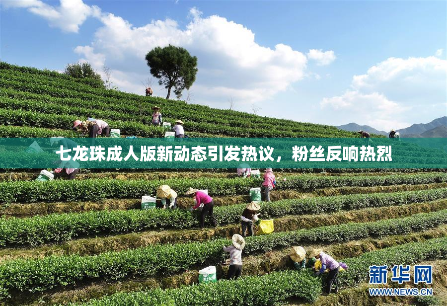 七龙珠成人版新动态引发热议，粉丝反响热烈