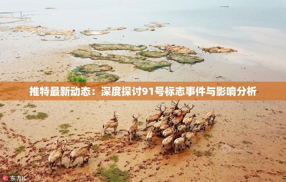 推特最新动态：深度探讨91号标志事件与影响分析