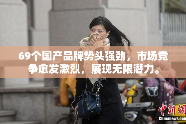 69个国产品牌势头强劲，市场竞争愈发激烈，展现无限潜力。