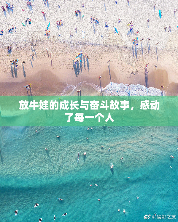 放牛娃的成长与奋斗故事，感动了每一个人