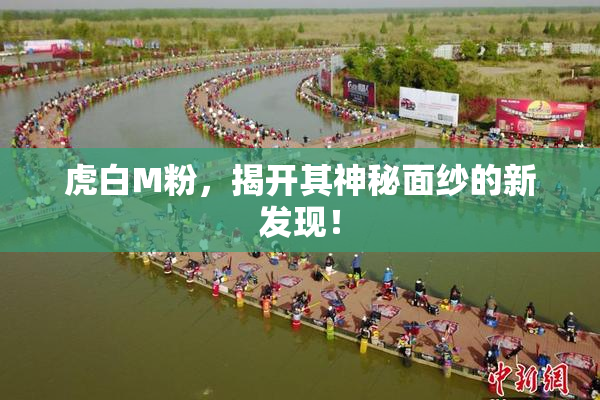 虎白M粉，揭开其神秘面纱的新发现！