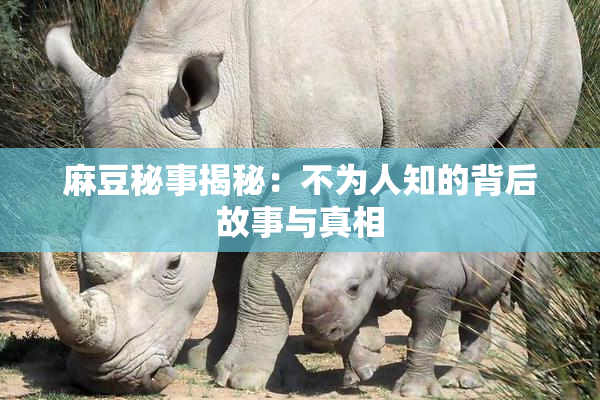 麻豆秘事揭秘：不为人知的背后故事与真相