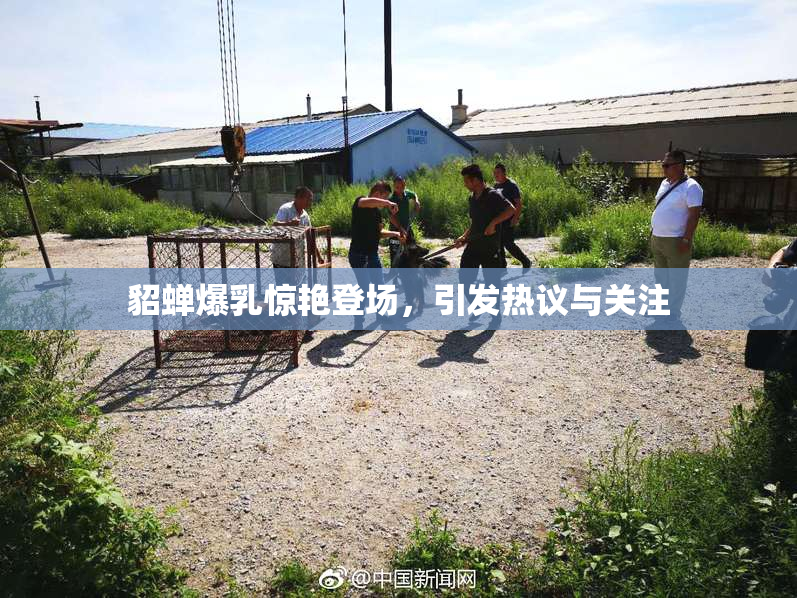 貂蝉爆乳惊艳登场，引发热议与关注