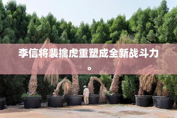 李信将裴擒虎重塑成全新战斗力。