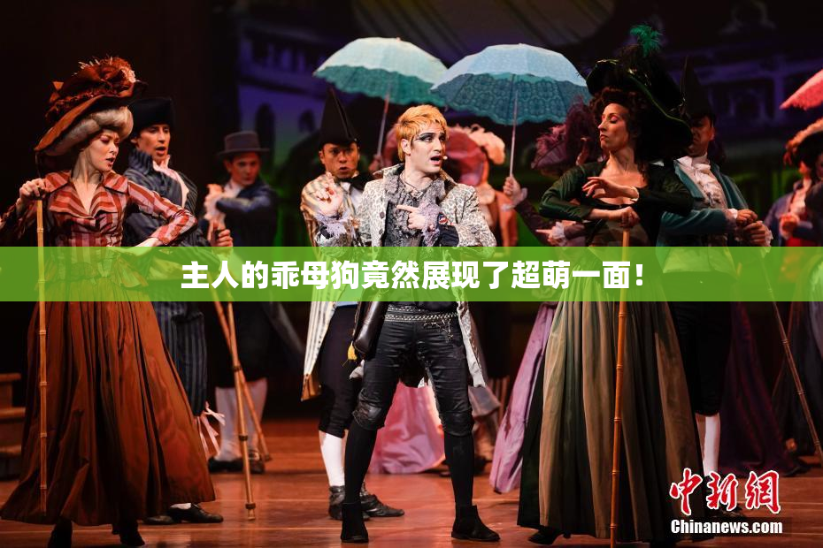 主人的乖母狗竟然展现了超萌一面！