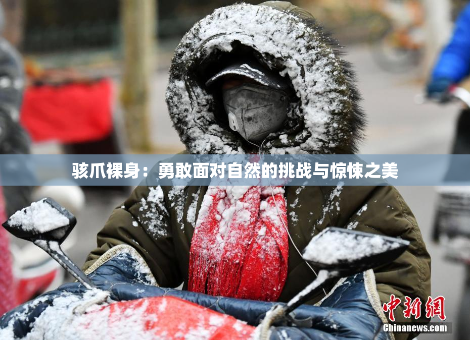 骇爪裸身：勇敢面对自然的挑战与惊悚之美