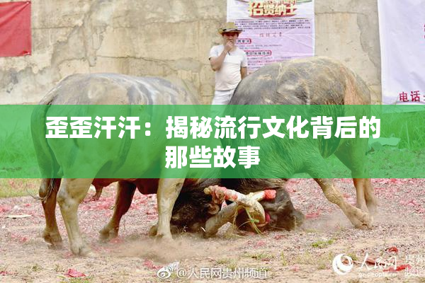 歪歪汗汗：揭秘流行文化背后的那些故事