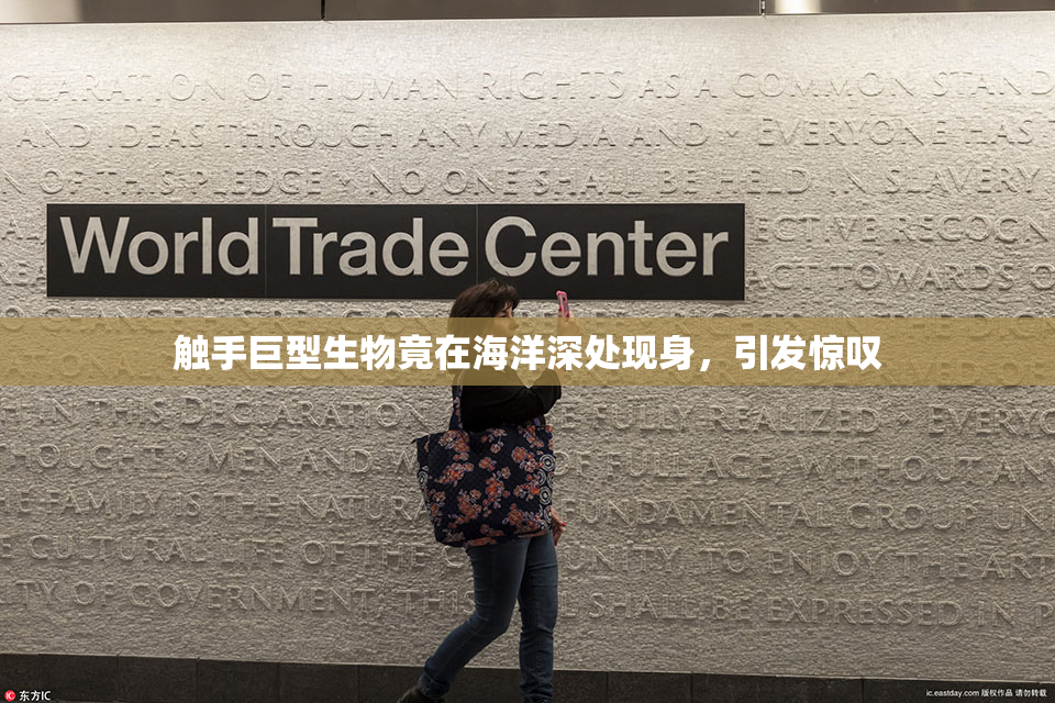 触手巨型生物竟在海洋深处现身，引发惊叹